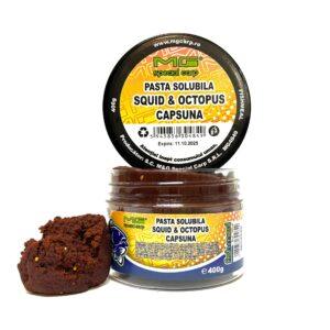 Pastă Solubilă Squid & Octopus Capsună 400gr MG4849