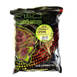 Boilies Semisolubil Capsună 5kg 20mm MG1060