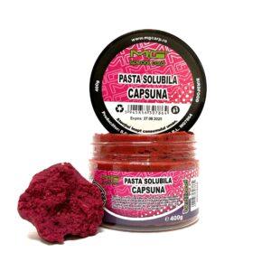 Pastă Solubilă Capsună 400gr MG7864